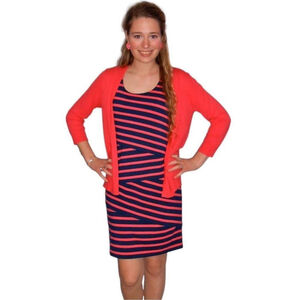Ann Taylor LOFT Pink & Navy Striped Dress – Size Small